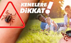 Havaların ısınmasıyla birlikte kenelerle temas riski arttı
