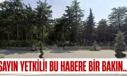 İnegöl Orhaniye Mezarlığı’nda madde bağımlıları endişe yaratıyor