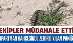İnegöl’de Apartman Bahçesinde Zehirli Yılan Paniği: Ekipler Müdahale Etti