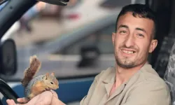 İnegöl'de Eşi Benzeri Görülmemiş Dostluk: Sincap, Kendisini Besleyen Adamın Peşini Bırakmadı
