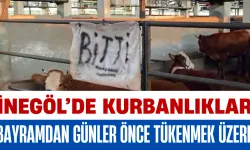 İnegöl’de Kurbanlıklar Bayramdan Günler Önce Tükenmek Üzere