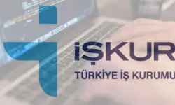 İŞKUR, Evden İş Bulma Konusunda Gerçekten Yardımcı Oluyor mu ve Başvuru Süreçleri Nasıl İşliyor?