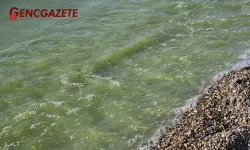 İznik Gölü Yeşile Büründü: Marmara’nın En Büyük Gölü Ne Tür Bir Tehlikeyle Karşı Karşıya?