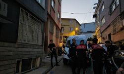 Kardeşini silahla öldürdükten sonra intihar etti