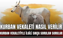 Kurban Vekaleti Nasıl Verilir, Kimlere Verilir? Kurban Vekaletiyle İlgili Sıkça Sorulan Sorular