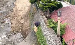 Mahsur Kalan Kangal Köpeklerini Sahibi Dereye İnerek Kurtardı