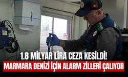 Marmara Denizi için kritik uyarı: Bursa'da 376 sanayi tesisi denetim altında