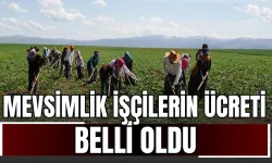 Mevsimlik işçilerin ücreti belli oldu