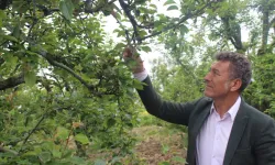 Orhan Sarıbal: “İnegöl’de Tarımsal Don Çiftçiyi Vurdu, Hızlı Destek Şart”