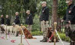 TSK'nın Eğitimli 12 Irk Köpeği Operasyonlarda Büyük Başarı Sağlıyor