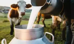 Süt Ürünlerinde Nisan Artışı Dikkat Çekti Mi? Hangi Ürünler Öne Çıktı, Hangileri Düştü, Tüketici Ne Beklemeli?