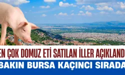 Türkiye’de En Çok Domuz Eti Satılan İller Açıklandı: Bakın Bursa Kaçıncı Sırada...