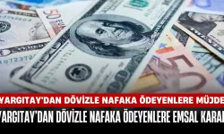 Yargıtay’dan Dövizle Nafaka Ödeyenlere Emsal Karar