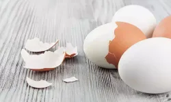 Yumurta kabuklarını sakın çöpe atmayın! Temizliğin en doğal sırrı mutfakta sizi bekliyor olabilir!