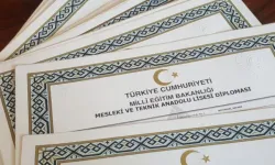 Üniversite Diploması İş Bulmaya Yetiyor Mu? Tüik’ten Çarpıcı Yükseköğretim İstihdam Raporu