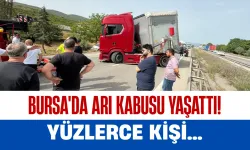 Bursa'da Arı Kabusu Yaşattı! Yüzlerce Kişi...