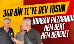 340 Bin TL’ye Dev Tosun! İnegöl Kurban Pazarında Hem Dert Hem Bereket