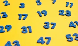 Asal Sayılar Nedir? En Temelden İleri Seviyeye Kadar Her Şey