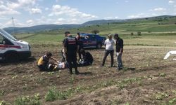 Bilecik'te Zorunlu İniş Yapan Eğitim Uçağı Ters Döndü: Pilot Yaralandı!