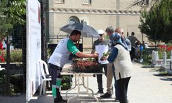 İnegöl Belediyesi, Mezarlıklara 9 Bin Çiçek Dağıttı