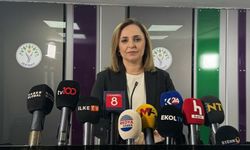 DEM Parti'li Doğan: Silahların bırakılması DEM Parti'nin taleplerinden biri