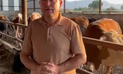 Dananın saldırısına uğrayan iş insanı, 3 gün sonra öldü