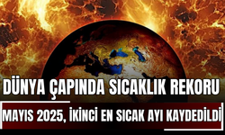 Dünya Çapında Sıcaklık Rekoru: Mayıs 2025, İkinci En Sıcak Ay Olarak Kaydedildi!