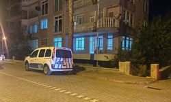 Erkek kardeş silahla oynarken ablasını vurdu