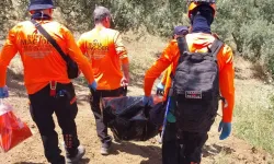 Gemlik'te 5 Gündür Kayıp Olan Yaşlı Kadın Zeytinlikte Ölü Bulundu