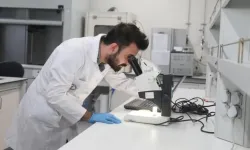 BTÜ, Fındık Küspesiyle Gıdada Yeni Dönem Başlatıyor
