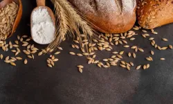Bu Doğal Besin, Kansere Karşı Kalkan Gibi Vücudu Zararlı Kimyasallardan Temizliyor!