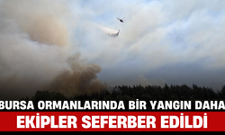Bursa Ormanlarında Bir Yangın Daha: Ekipler Seferber Edildi
