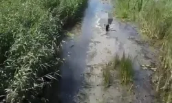 Bursa’da Kaybolan Adam, Dronu Takip Ederek Kurtuldu