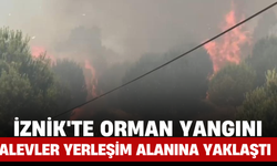 İznik'te Orman Yangını: Alevler Yerleşim Alanına Yaklaştı