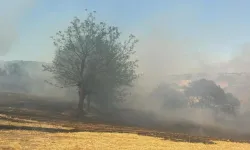 Kestel’de Orman Yangını! Alevlere Havadan ve Karadan Müdahale Sürüyor