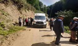 Kontrolden Çıkan Pat Pat Dereye Devrildi: 2 Yaralı