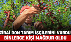 Zirai Don Tarım İşçilerini Vurdu: Binlerce Kişi Mağdur Oldu