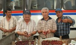 İnegöl'de Kiraz üreticisi zarar ediyor, çilek üreticisi çözüm arıyor