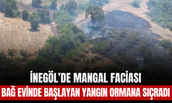 İnegöl’de Mangal Faciası: Bağ Evinde Başlayan Yangın Ormana Sıçradı