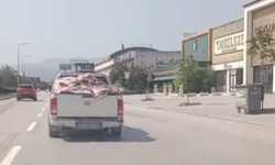 İnegöl’de Kurban Eti Taşıma Skandalı!