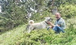 Kamyon ile damper arasında sıkışan şoför hayatını kaybetti