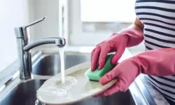 Mikropları Öldüren Deterjan, Süngerde Neden Etkisiz? Bulaşık Süngeri Neden Mikrop Yuvası Oluyor?