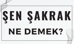 Şen Şakrak Ne Demek ve Günlük Hayattaki Kullanımı Nasıldır?