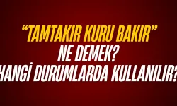 “Tamtakır Kuru Bakır” Ne Demek? Hangi Durumlarda Kullanılır?