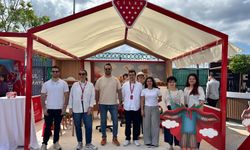 Çilek, Yaratıcı Çocuk Festivali’nde Çocuklarla Buluştu