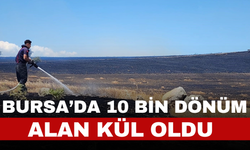 Bursa'da 10 bin dönümlük arazi alevlere teslim oldu