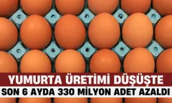 Yumurta Üretimi Düşüşte: TÜİK Verilerine Göre Son 6 Ayda 330 Milyon Adet Azalma