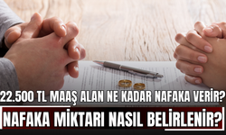 22.500 TL Maaş Alan Ne Kadar Nafaka Verir? Nafaka Miktarı Nasıl Belirlenir?