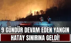 9 Gündür Devam Eden Yangın Hatay Sınırına Geldi!
