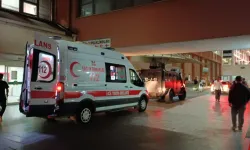 Annesini Bıçaklayan Kardeşini Tabancayla Vurarak Öldürdü